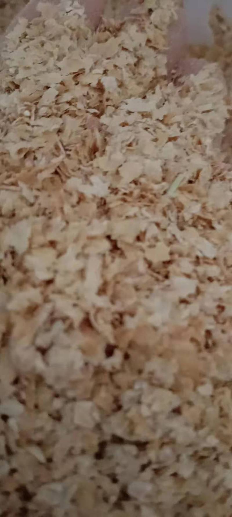 纯麸皮五得利金沙河益海大片混合细麸都有