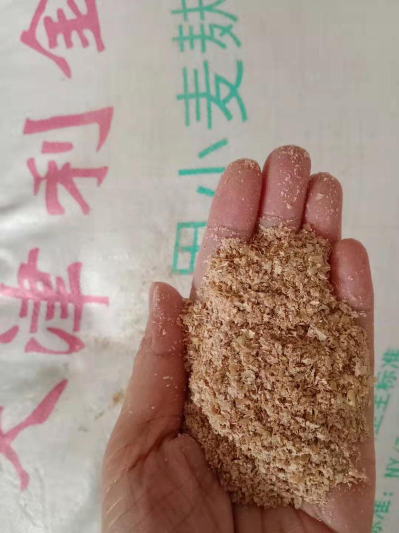纯麸皮五得利金沙河益海大片混合细麸都有