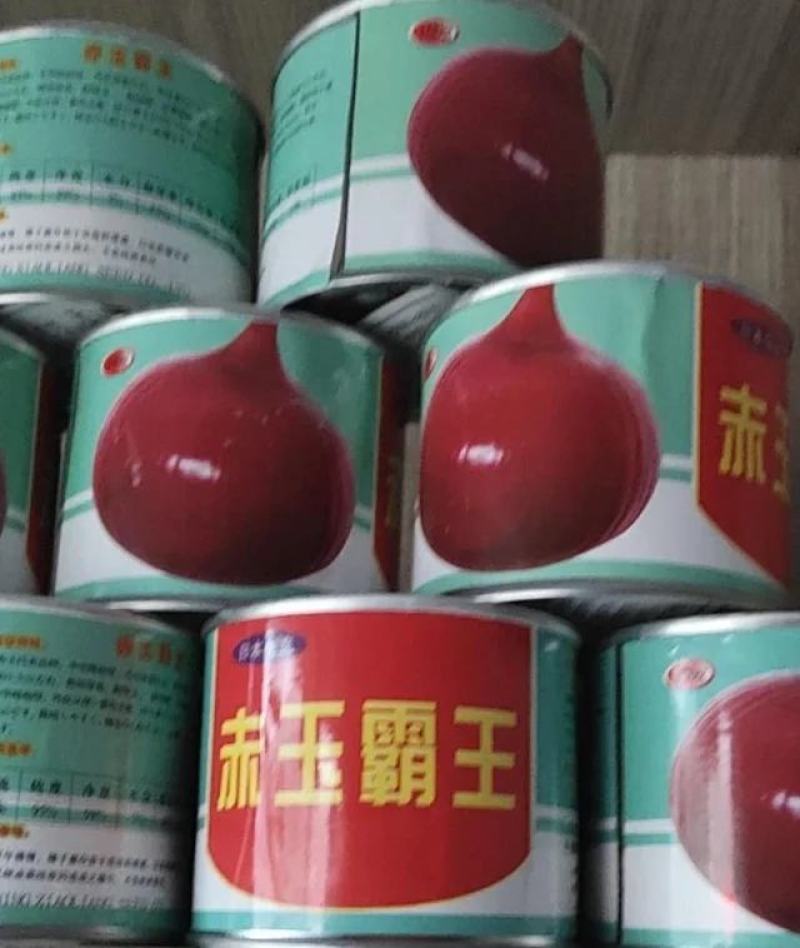 红皮洋葱红盈，中熟，400克单球重，球形规整