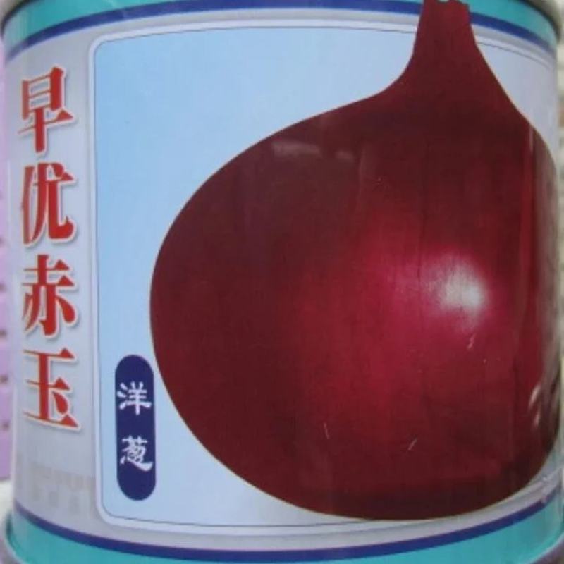红皮洋葱红盈，中熟，400克单球重，球形规整