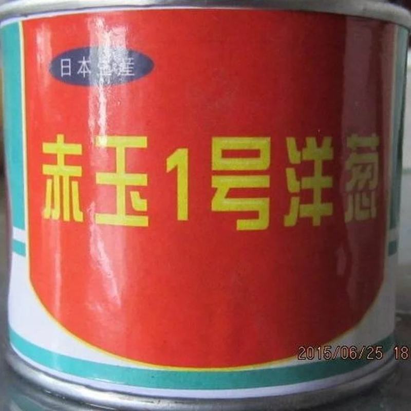红皮洋葱红盈，中熟，400克单球重，球形规整