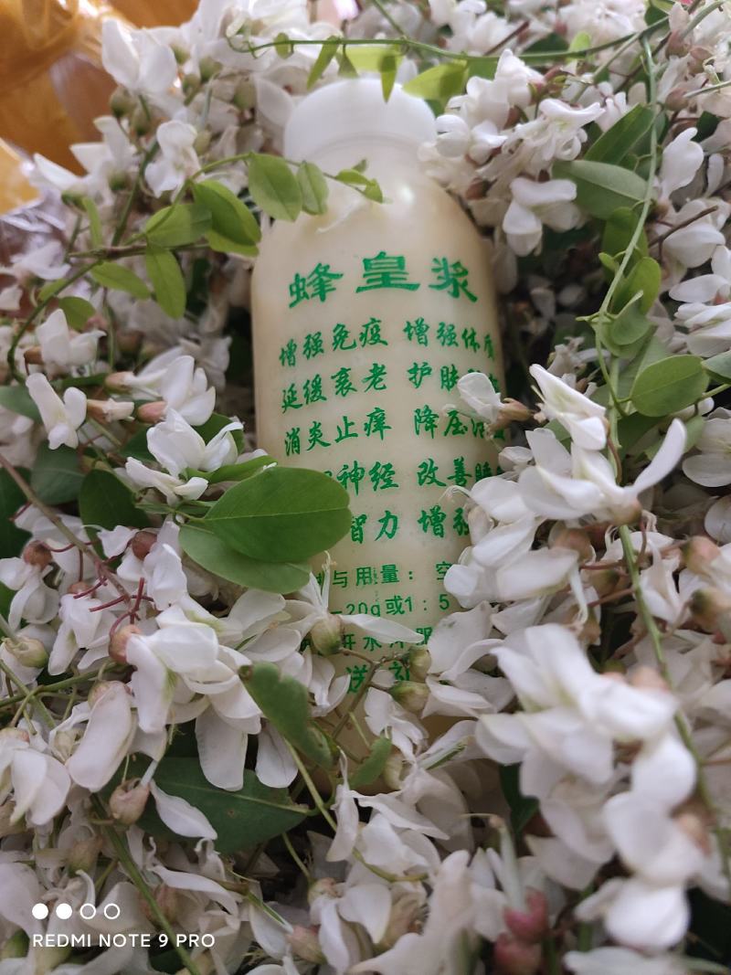 蜂王浆蜂农自产自销包邮一件代发，品质保证，假一赔十