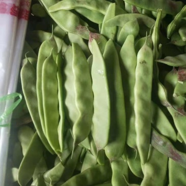 油豆，油豆角