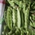 油豆，油豆角