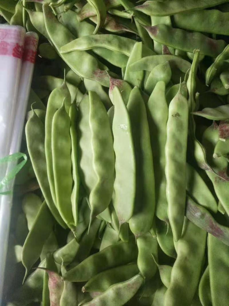 油豆，油豆角