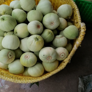 广西宾阳甜瓜，脆甜好吃！价格美丽！