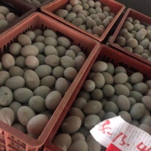 新鲜鸭蛋品质保证长期供应