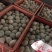 新鲜鸭蛋品质保证长期供应