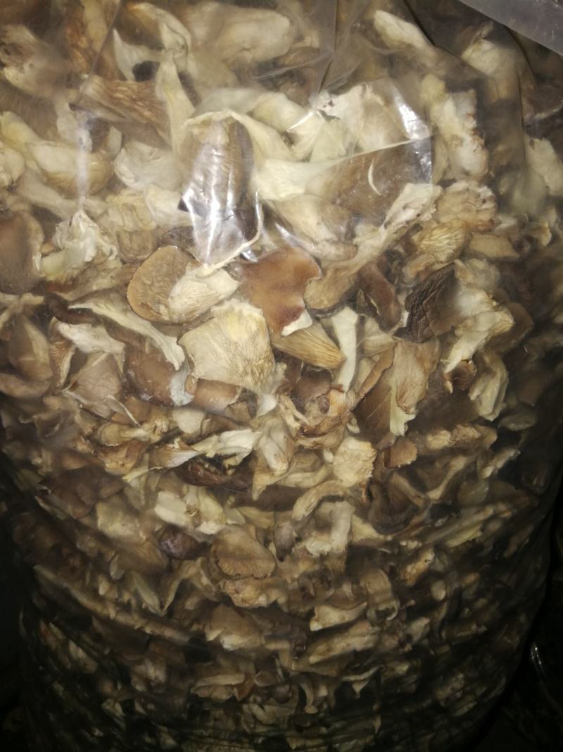 平菇干货、各种平菇菌种、平菇出菇菌包一律有货