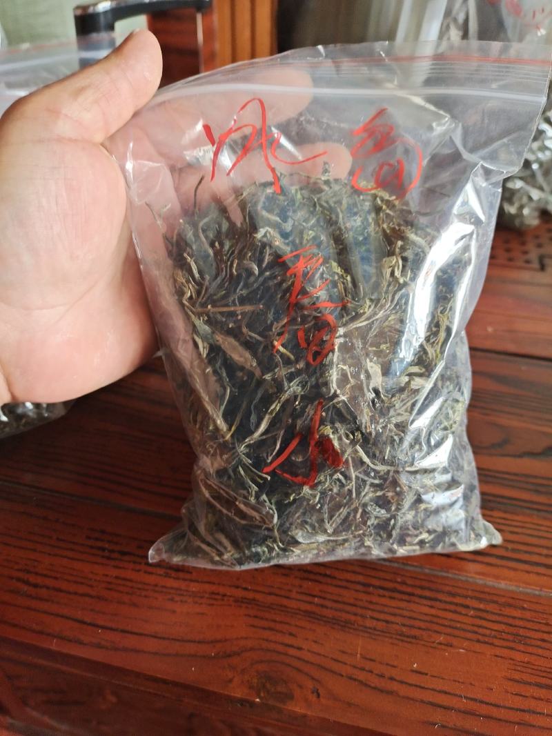 高端普洱茶易武薄荷糖冰岛老班章