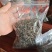 高端普洱茶易武薄荷糖冰岛老班章