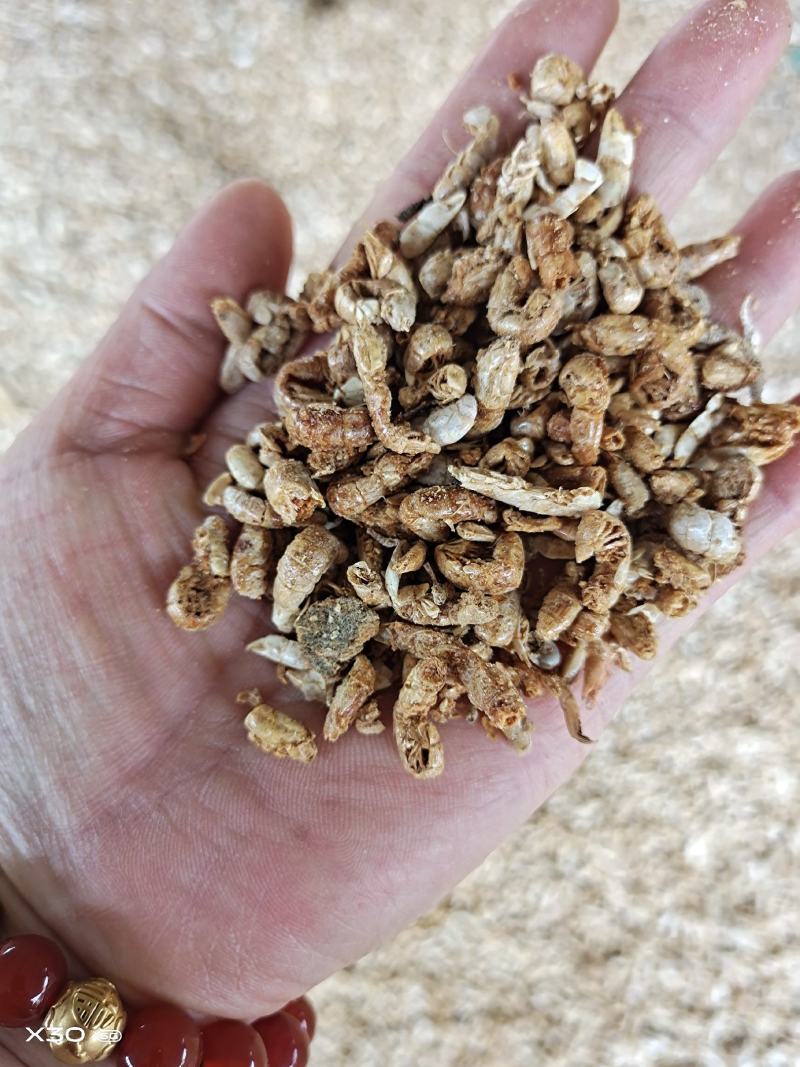 饲料引子虾四不像自家加工做虾粉家畜饲料蛋鸡蛋鸭用一手货源