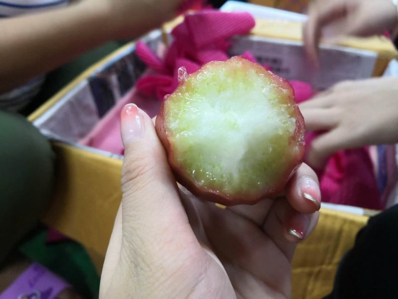 海南三亚黑金刚莲雾大果现摘现发海绵少汁水多新鲜水果