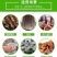 一次性手套薄膜加长加厚pe塑料外卖餐饮家用食品级厂家