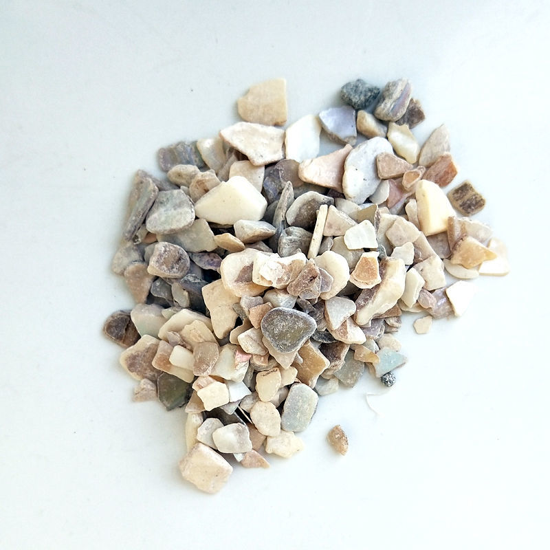 中药材珍珠母珍珠母珠母真珠母明珠母蚌壳有粉5