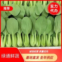 【优选商家】上海青常年大量供应小油菜，全国可发诚信经营。