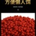 野钓者钓鱼饵料鲫鱼鲤鱼草鱼罗非懒人颗粒饵黑坑野钓打窝鱼食