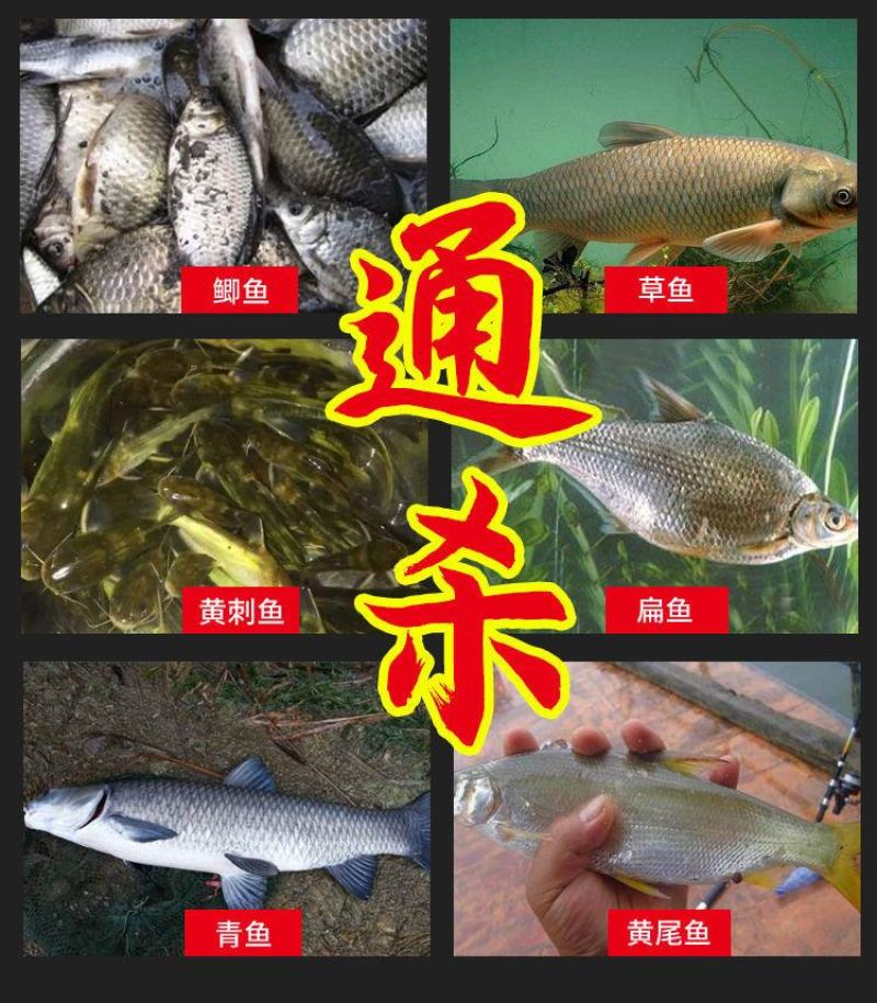野钓者钓鱼饵料鲫鱼鲤鱼草鱼罗非懒人颗粒饵黑坑野钓打窝鱼食