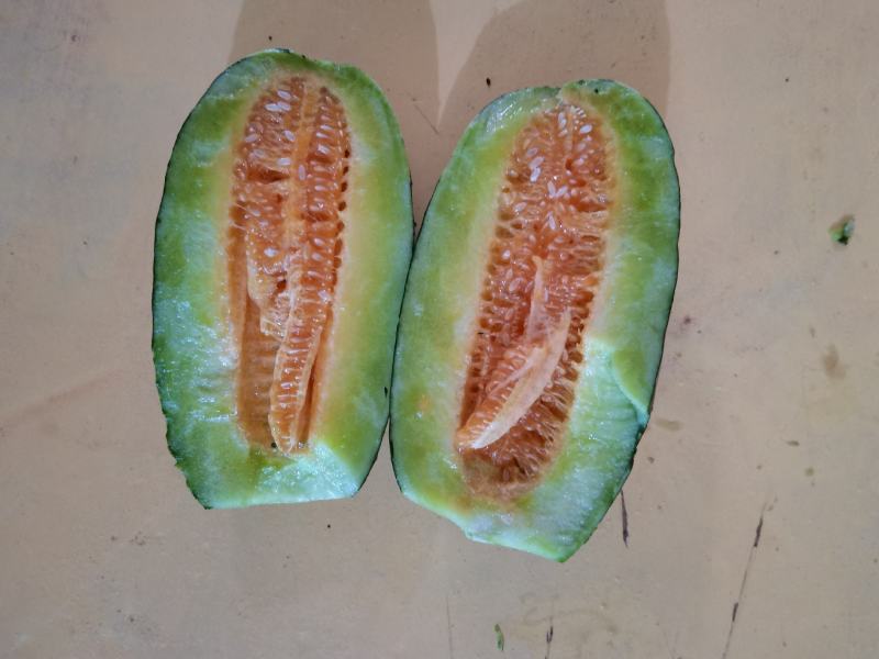 蒲城博洋9号、皮薄肉厚、脆甜可口！香气扑鼻！