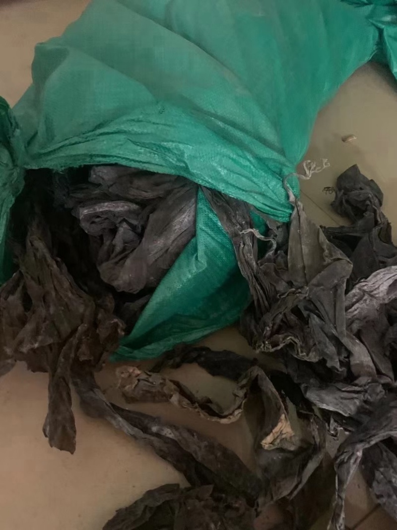 干海带批发海带皮现货供应产地直发海带皮散装农产品批发低价