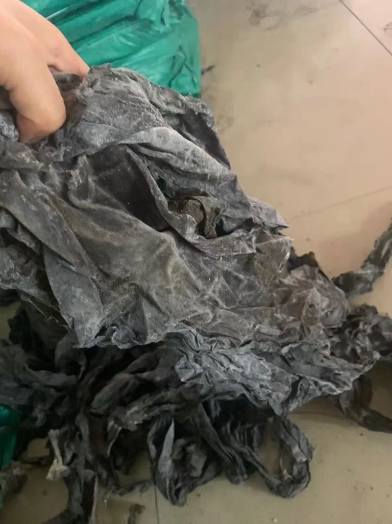 干海带批发海带皮现货供应产地直发海带皮散装农产品批发低价