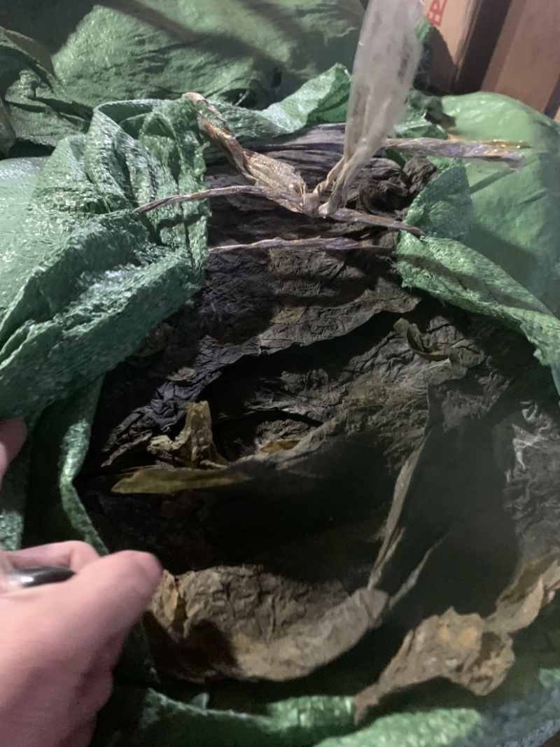 干海带批发海带皮现货供应产地直发海带皮散装农产品批发低价