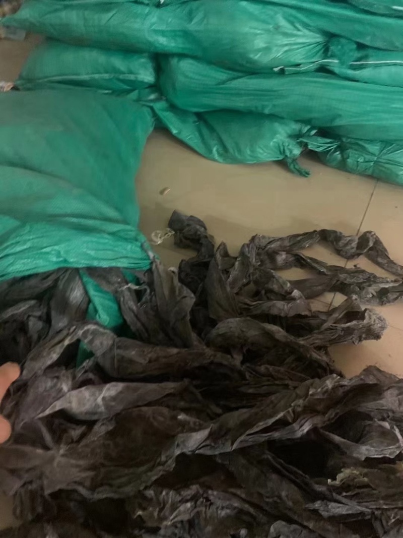 干海带批发海带皮现货供应产地直发海带皮散装农产品批发低价