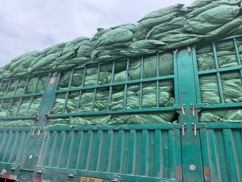 干海带批发海带皮现货供应产地直发海带皮散装农产品批发低价