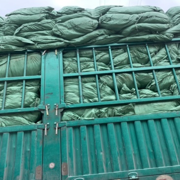 干海带批发海带皮现货供应产地直发海带皮散装农产品批发低价