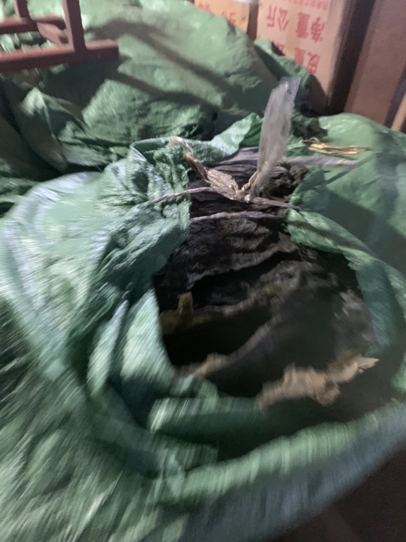 干海带批发海带皮现货供应产地直发海带皮散装农产品批发低价