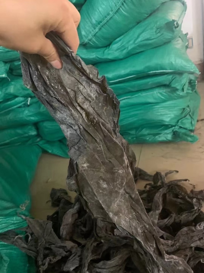 干海带批发海带皮现货供应产地直发海带皮散装农产品批发低价