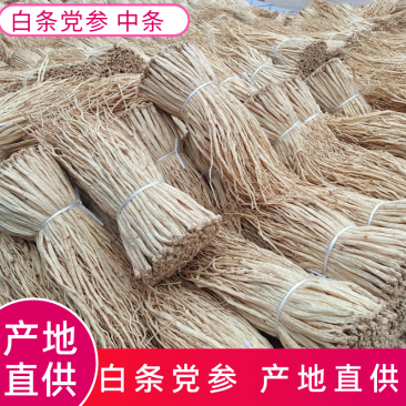 党参产地直供白条党参把子党参欢迎咨询