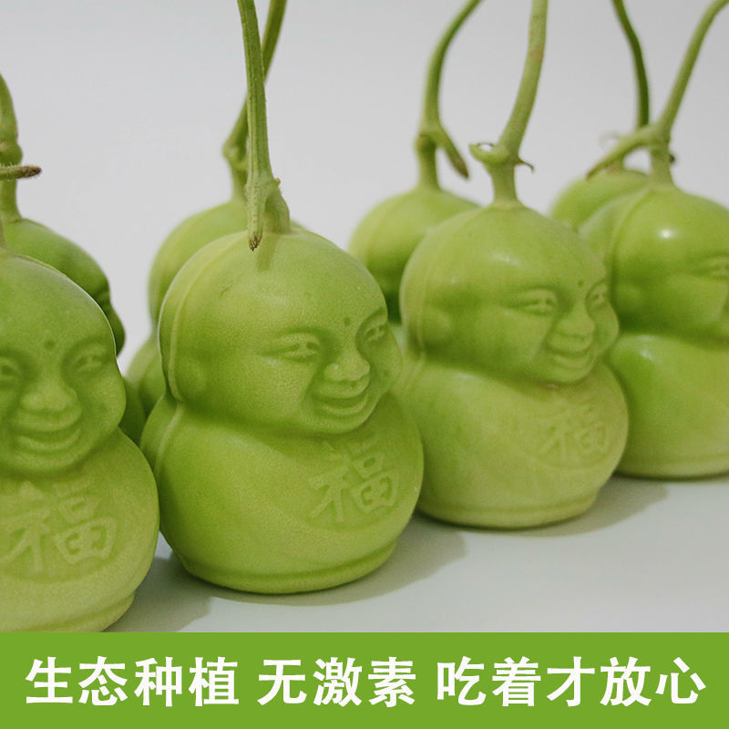 【产地直】人参果水果人形福娃甜瓜娃娃贡果礼品多规格包邮