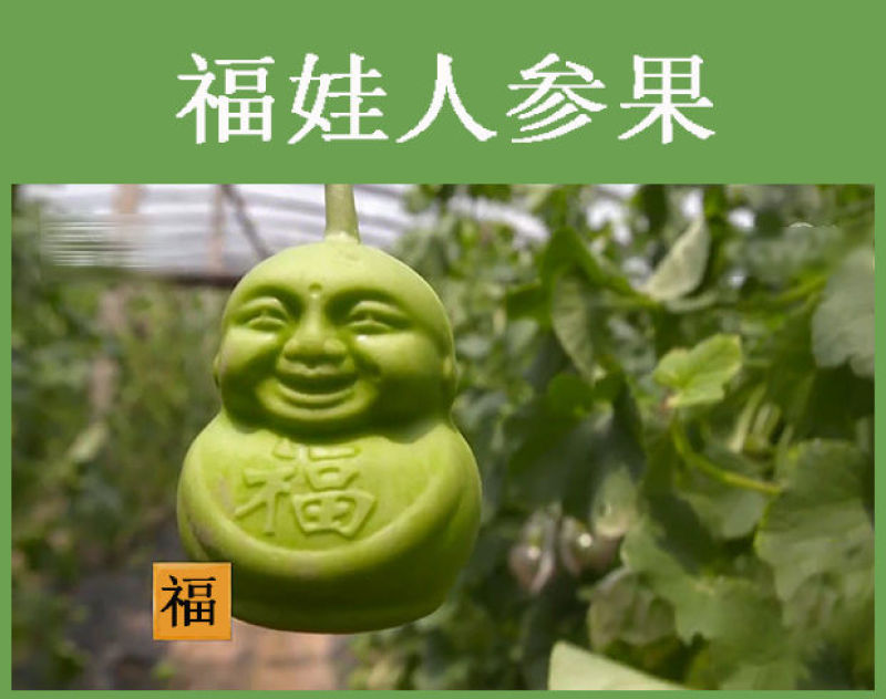 【产地直】人参果水果人形福娃甜瓜娃娃贡果礼品多规格包邮