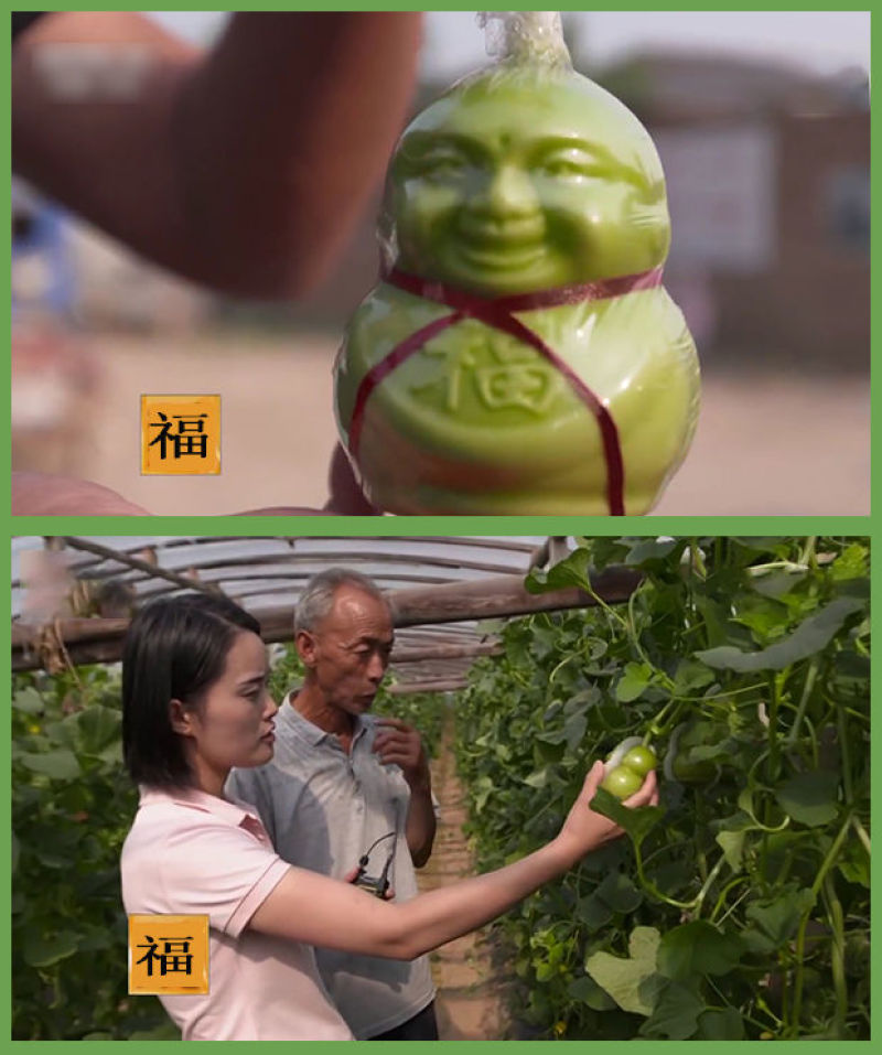 【产地直】人参果水果人形福娃甜瓜娃娃贡果礼品多规格包邮