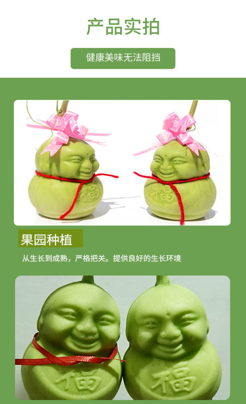 【产地直】人参果水果人形福娃甜瓜娃娃贡果礼品多规格包邮