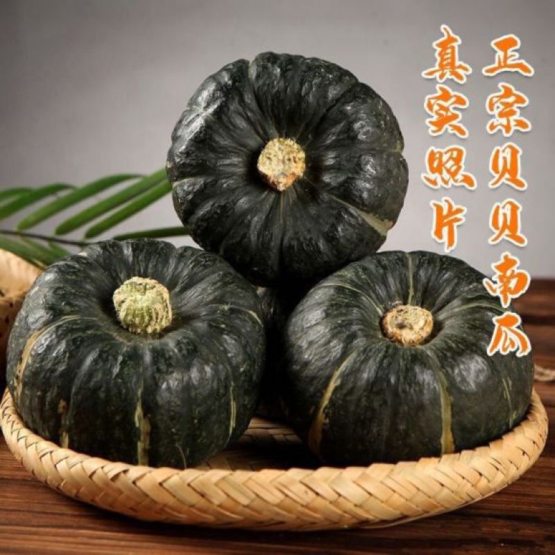 贝贝南瓜沙漠种源绿粉面甜板栗南瓜进口种源批发电商一件代发
