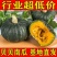 贝贝南瓜沙漠种源绿粉面甜板栗南瓜进口种源批发电商一件代发