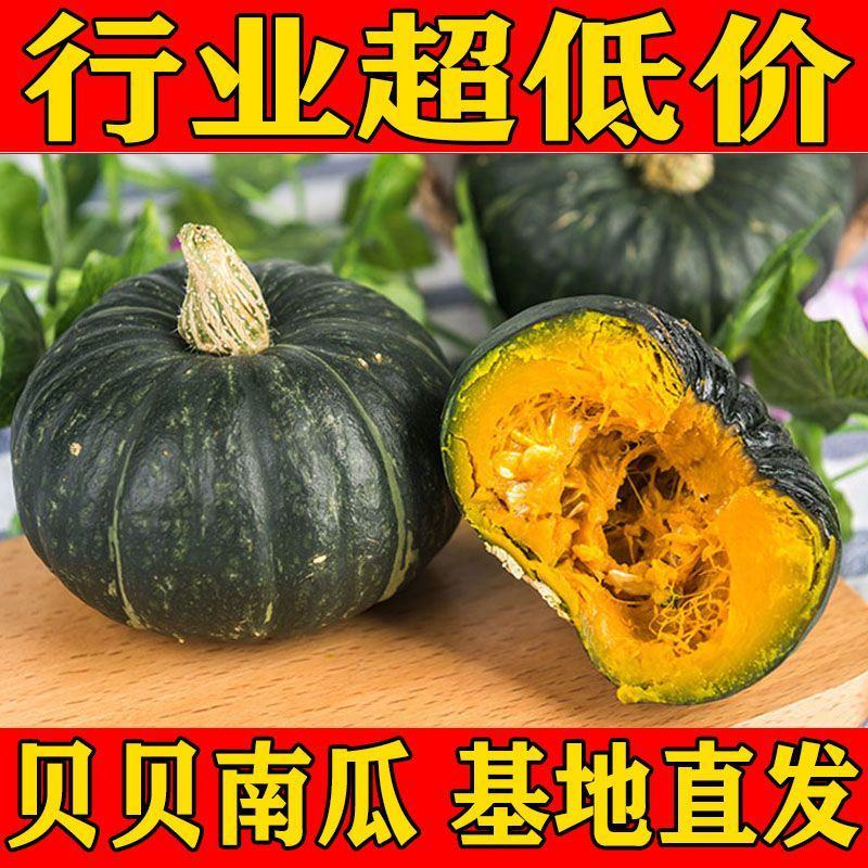 贝贝南瓜沙漠种源绿粉面甜板栗南瓜进口种源批发电商一件代发