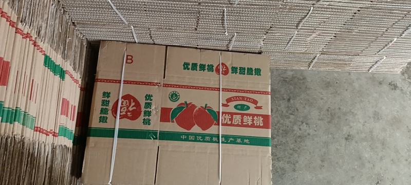 露天毛桃口感好糖分高脆甜适合各种市场