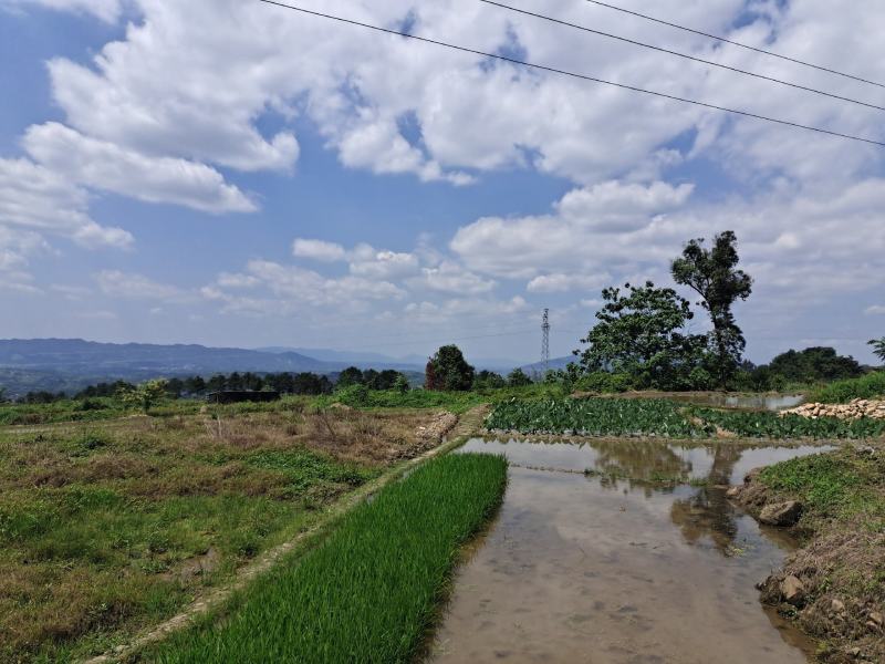 土地出租