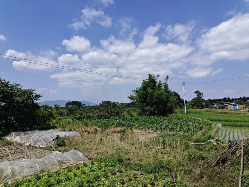 土地出租