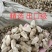 辛夷一手货源药食同源各种规格齐全价格电议香料