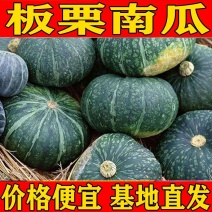 板栗南瓜沙漠种源绿粉面甜新西兰南瓜批发支持电商一件代发！