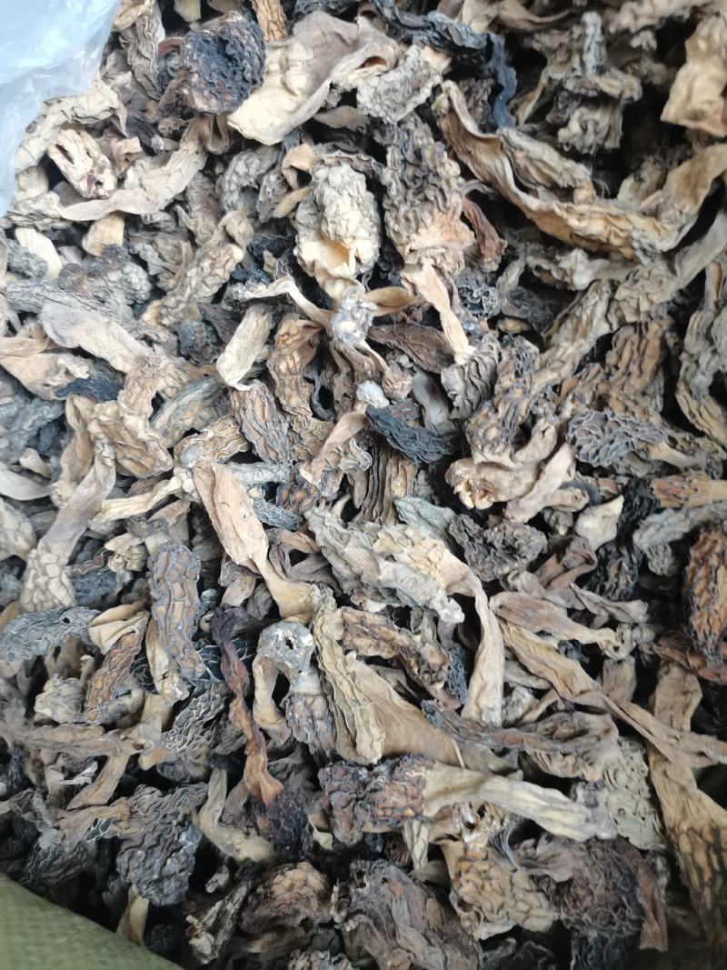 羊肚菌，野生羊肚菌，一手货源价格实惠，