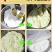 粘豆包红小豆馅大黄米粘糕无糖粘豆包东北特产多规格超值包邮