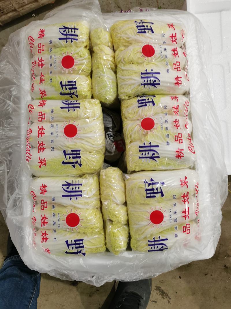 娃娃菜（黄）