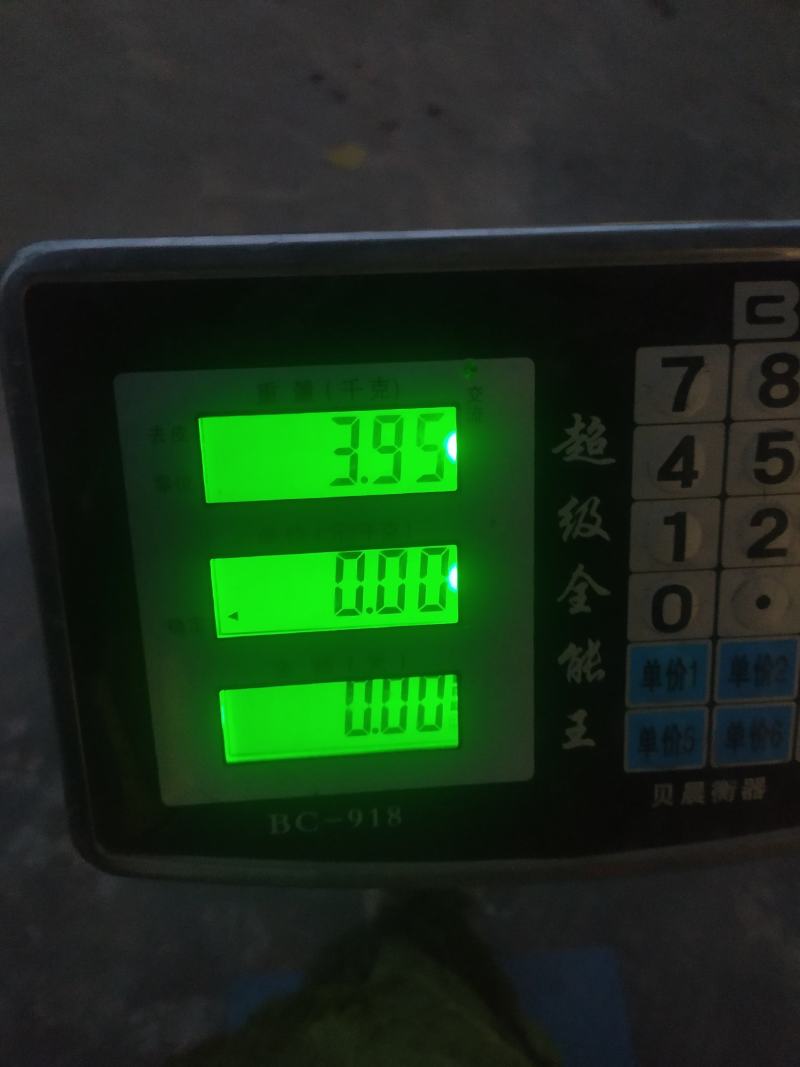 100亩春季黄心大白菜大量上市，欢迎新老客户前来预订