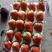 安徽省长丰县红颜草莓种植基地，精品礼盒装，一件代发