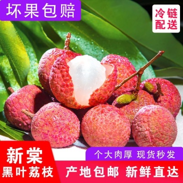 广西荔枝源头产地，专注电商供应链，产地一件代发，保证品质